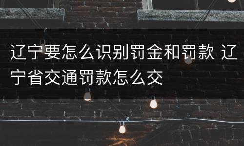 辽宁要怎么识别罚金和罚款 辽宁省交通罚款怎么交