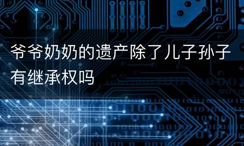 爷爷奶奶的遗产除了儿子孙子有继承权吗