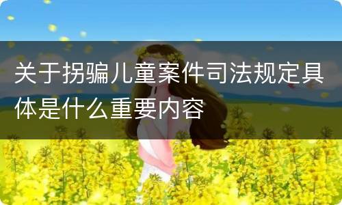 关于拐骗儿童案件司法规定具体是什么重要内容