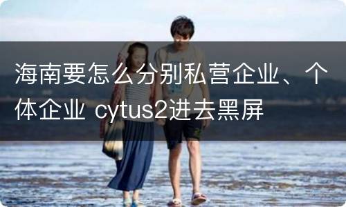 海南要怎么分别私营企业、个体企业 cytus2进去黑屏