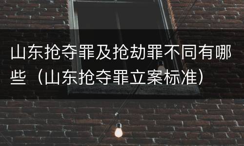 山东抢夺罪及抢劫罪不同有哪些（山东抢夺罪立案标准）