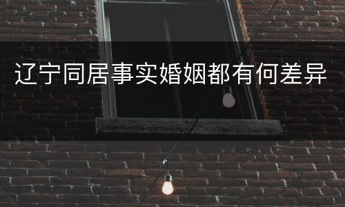 辽宁同居事实婚姻都有何差异