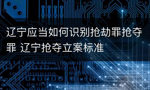 辽宁应当如何识别抢劫罪抢夺罪 辽宁抢夺立案标准