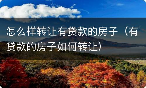 怎么样转让有贷款的房子（有贷款的房子如何转让）