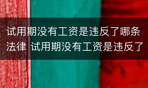 试用期没有工资是违反了哪条法律 试用期没有工资是违反了哪条法律的