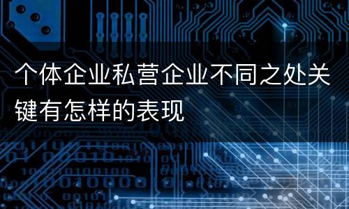 个体企业私营企业不同之处关键有怎样的表现
