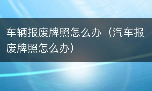 车辆报废牌照怎么办（汽车报废牌照怎么办）