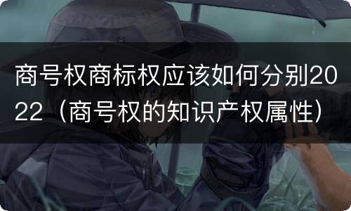 商号权商标权应该如何分别2022（商号权的知识产权属性）