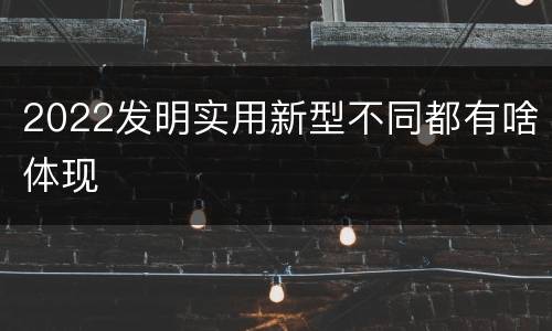 2022发明实用新型不同都有啥体现