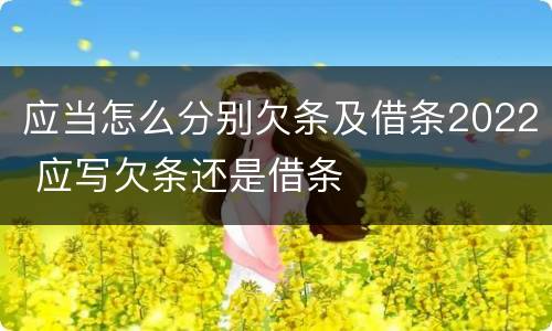 应当怎么分别欠条及借条2022 应写欠条还是借条