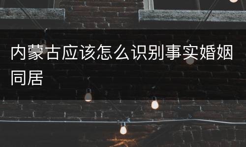 内蒙古应该怎么识别事实婚姻同居