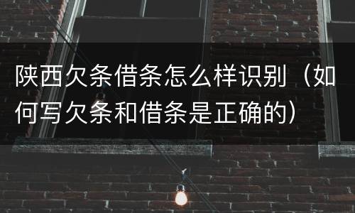 陕西欠条借条怎么样识别（如何写欠条和借条是正确的）