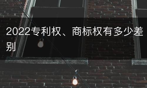 2022专利权、商标权有多少差别