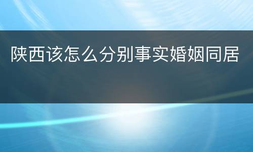 陕西该怎么分别事实婚姻同居