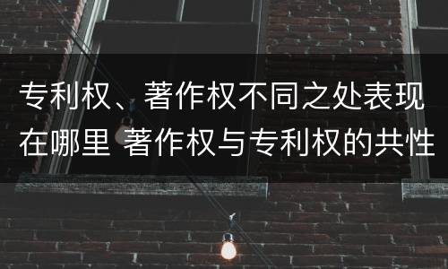 专利权、著作权不同之处表现在哪里 著作权与专利权的共性有
