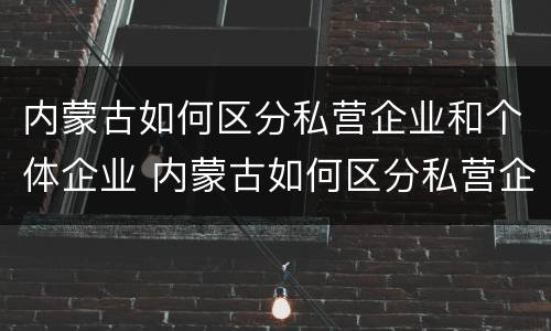 内蒙古如何区分私营企业和个体企业 内蒙古如何区分私营企业和个体企业的区别