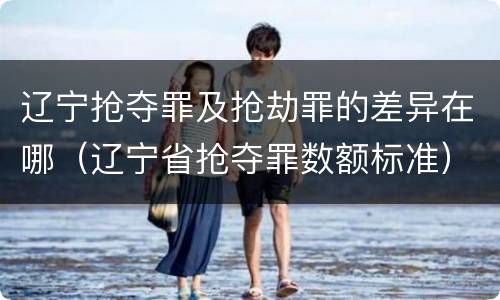 辽宁抢夺罪及抢劫罪的差异在哪（辽宁省抢夺罪数额标准）