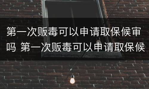 第一次贩毒可以申请取保候审吗 第一次贩毒可以申请取保候审吗多少钱