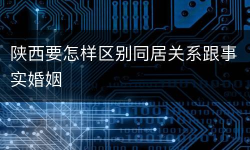 陕西要怎样区别同居关系跟事实婚姻