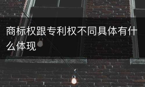 商标权跟专利权不同具体有什么体现