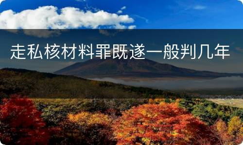 走私核材料罪既遂一般判几年