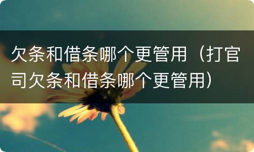 欠条和借条哪个更管用（打官司欠条和借条哪个更管用）