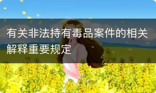 有关非法持有毒品案件的相关解释重要规定