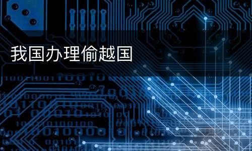 我国办理偷越国