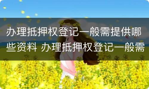 办理抵押权登记一般需提供哪些资料 办理抵押权登记一般需提供哪些资料和手续