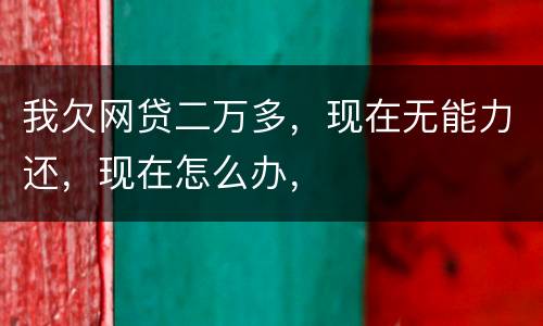 我欠网贷二万多，现在无能力还，现在怎么办，