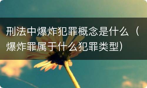 刑法中爆炸犯罪概念是什么（爆炸罪属于什么犯罪类型）