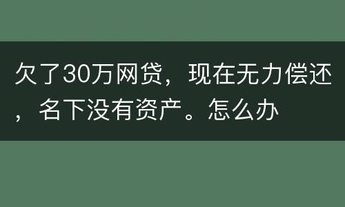 欠了30万网贷，现在无力偿还，名下没有资产。怎么办