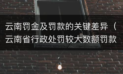 云南罚金及罚款的关键差异（云南省行政处罚较大数额罚款数额）