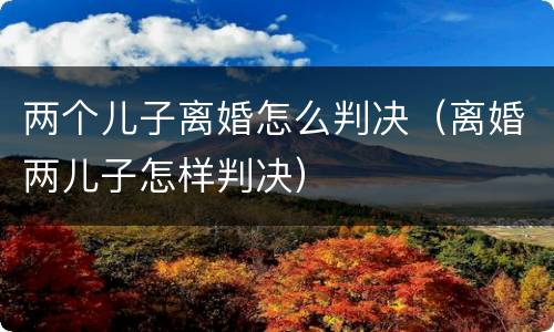 两个儿子离婚怎么判决（离婚两儿子怎样判决）