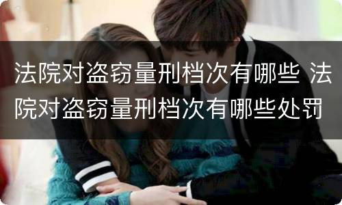 法院对盗窃量刑档次有哪些 法院对盗窃量刑档次有哪些处罚