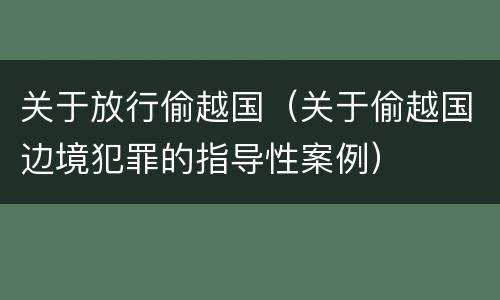 关于放行偷越国（关于偷越国边境犯罪的指导性案例）