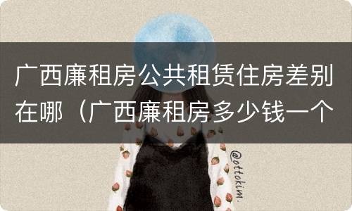 广西廉租房公共租赁住房差别在哪（广西廉租房多少钱一个月）