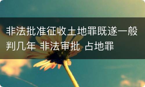 非法批准征收土地罪既遂一般判几年 非法审批 占地罪