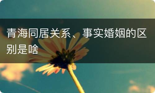 青海同居关系、事实婚姻的区别是啥
