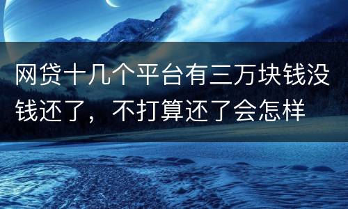 网贷十几个平台有三万块钱没钱还了，不打算还了会怎样