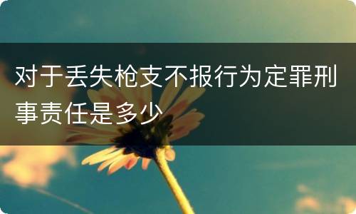 对于丢失枪支不报行为定罪刑事责任是多少