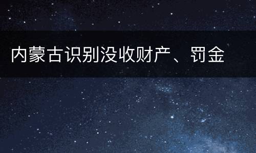 内蒙古识别没收财产、罚金