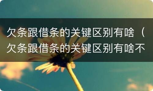 欠条跟借条的关键区别有啥（欠条跟借条的关键区别有啥不一样）