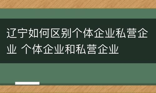 辽宁如何区别个体企业私营企业 个体企业和私营企业