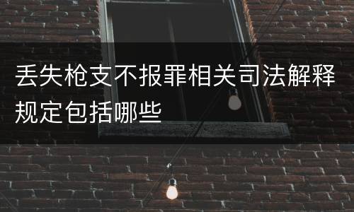 丢失枪支不报罪相关司法解释规定包括哪些
