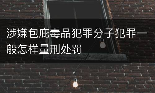 涉嫌包庇毒品犯罪分子犯罪一般怎样量刑处罚