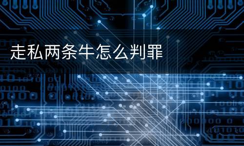 走私两条牛怎么判罪