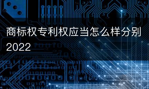 商标权专利权应当怎么样分别2022