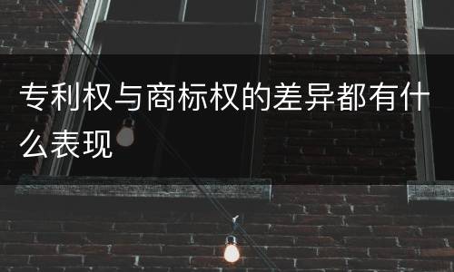 专利权与商标权的差异都有什么表现