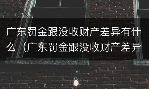 广东罚金跟没收财产差异有什么（广东罚金跟没收财产差异有什么关系）